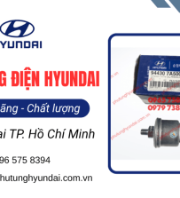 Cung cấp phụ tùng điện Hyundai TPHCM chính hãng, giá tốt
