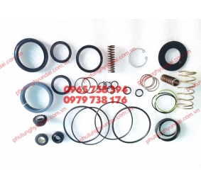 0501211290 SIN TRỢ LỰC SANG SỐ ZF