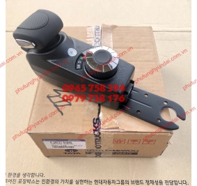 P3877701640 TAY ĐI SỐ TỰ ĐỘNG